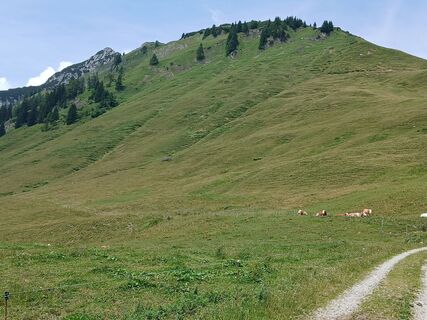 Foto von Fantom RoK entlang der Tour