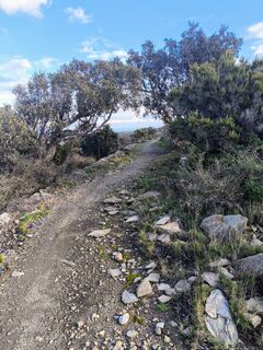 Fotografija s spletne strani CPQS na poti