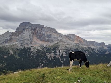Foto von Michael Putz entlang der Tour