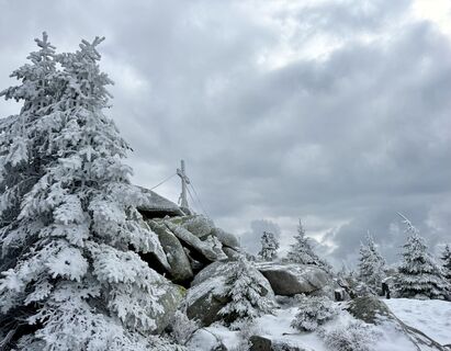 Fotografija s spletne strani Natur_erleben_dg na poti