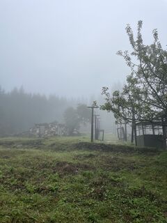Photo de lotharkoerner le long du parcours