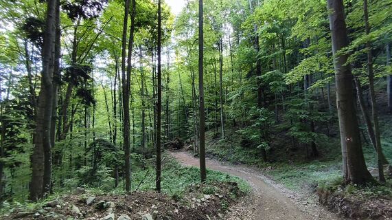 Fotografija s spletne strani Maroje na poti