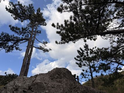 Photo de Maria Lattacher le long du parcours