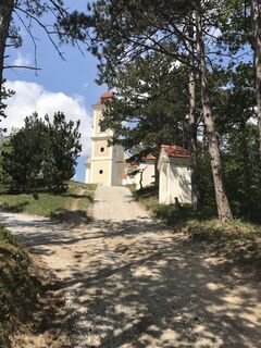 Fotografia z Maxspeed na trase