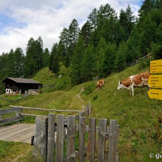 Das Sadnighaus ist der hochgelegene Ausgangsort, von denen leichte Wanderwege zu den  Gipfeln führen, die sich zu einer schönen Runde verbinden lassen.