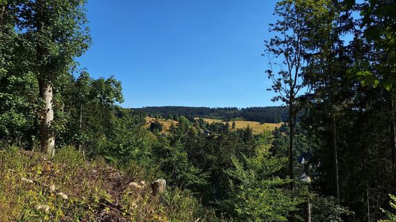 Foto von Steffi S. entlang der Tour