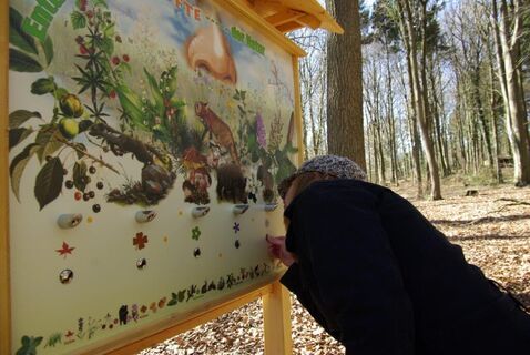 Wingst Familienerlebnisweg
