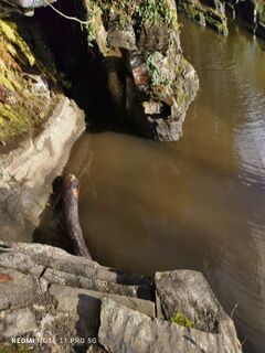 Fotografija s spletne strani Mmizia098 na poti