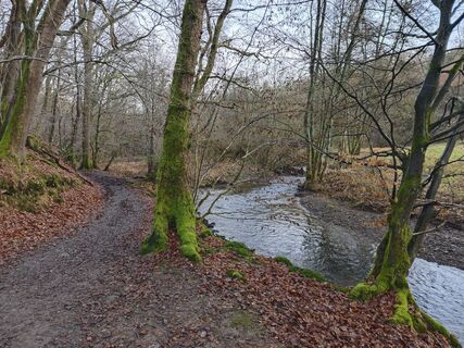 Fotografia z Björn Heun na trase