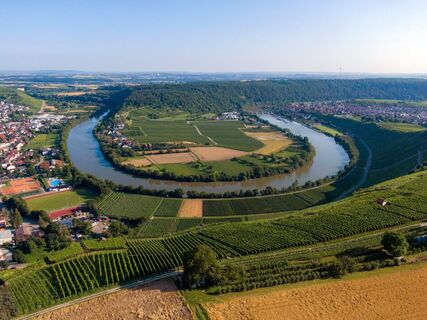 Sommer Mundelsheim Neckarschleife