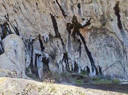 Photo de jožica kaligaro 1 le long du parcours