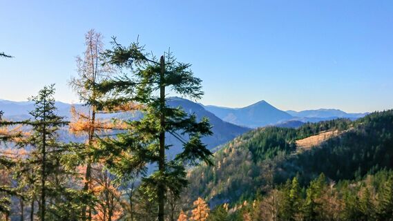 Fotografia z Manfred Steinböck na trase