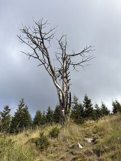 Foto von Flo entlang der Tour