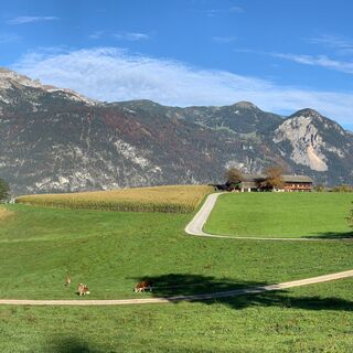 Panoramaweg Reith im Alpbachtal