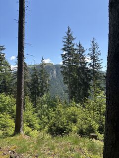 Foto von Mandy Friedrich entlang der Tour