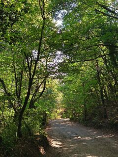 Foto de Julika Jármer a lo largo del recorrido