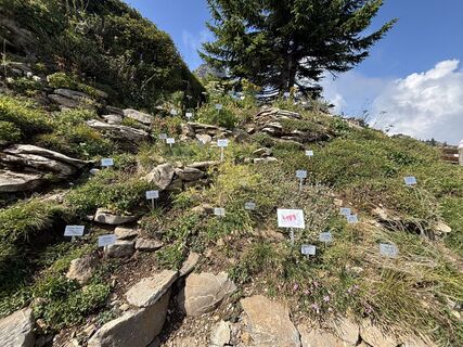 Fotografia z Michael Erkelenz na trase