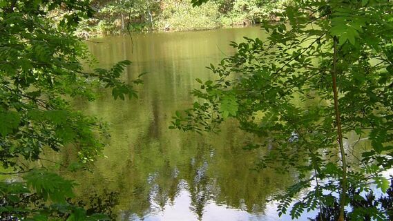 Im Lopautal bei Wulfsode