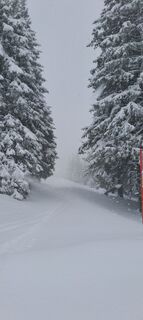 Photo de Bence Barlay le long du parcours