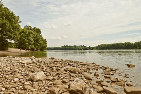 Badestrand bei Donau bei Persenbeug-Gottsdorf 
