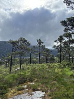 Foto von Cécile FECHOZ entlang der Tour