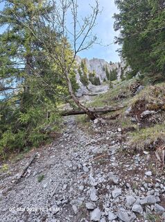 Foto von Markus Bischof 3 entlang der Tour