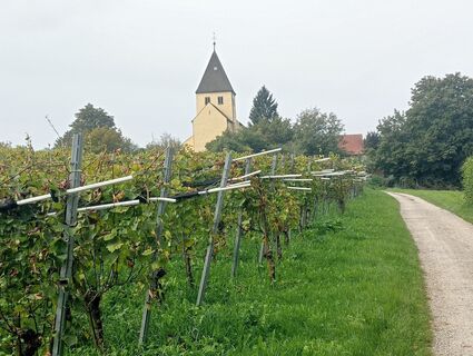 Foto fra simone ravasi underveis på turen