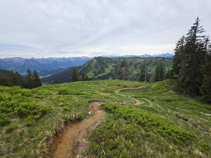 Foto de Gudrun Lippert a lo largo del recorrido