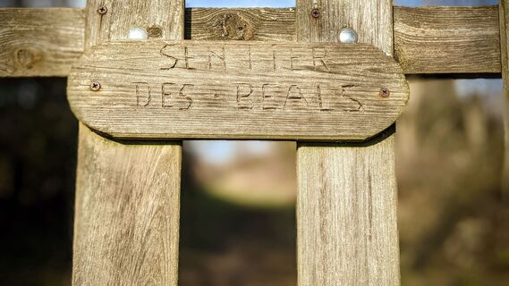 Salasc - Pfad der Béals 12 @ Gilles Delerue