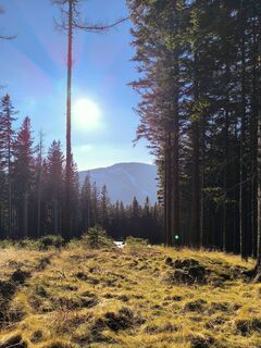 Foto von Ildikó entlang der Tour