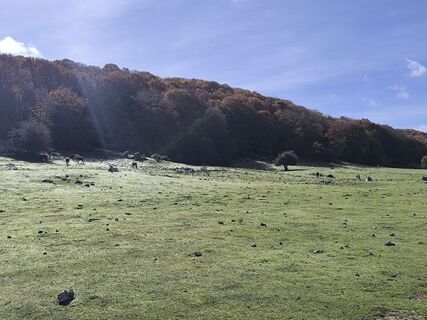 Foto de Gerry Girardi a lo largo del recorrido