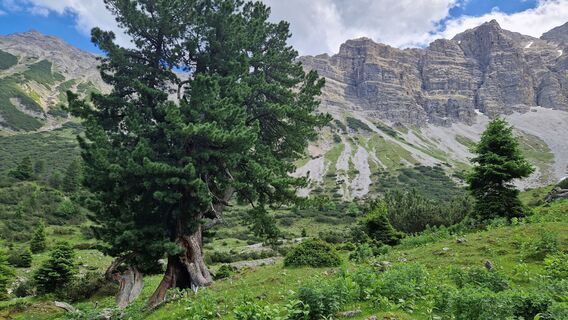 Foto von Ralf Zehendner entlang der Tour