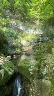 Foto från Michael Jung under resans gång