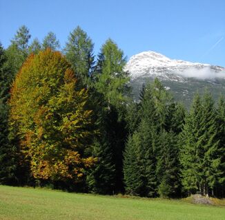 Herbstwald mit Grubachspitze