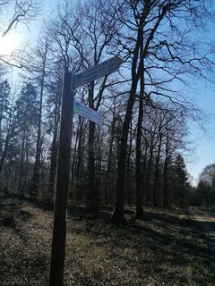 Fotografie z Eifeleddy na trase