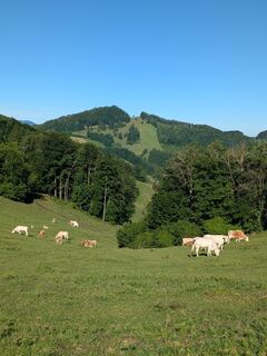 Foto von Martinzeh65 entlang der Tour