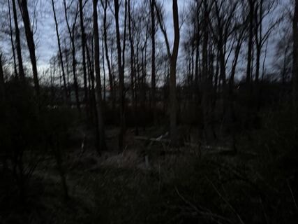 Donauwörth Gehen am morgen Sonnenaufgang