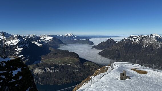 Fotografija s spletne strani Peter Naumann na poti