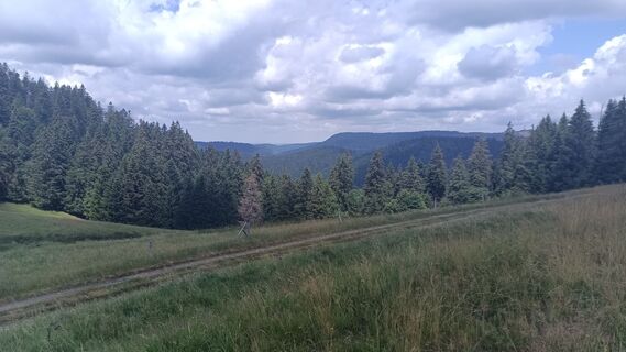 Foto von Günter Hopfinger entlang der Tour