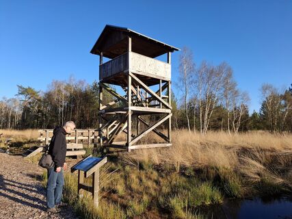 Photo de nordbergschnecke le long du parcours
