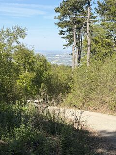 Fotografia z László Soós 2 na trase