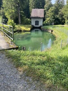 Foto von Corinne kuhn entlang der Tour