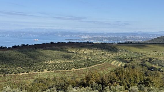 Foto von Wilhelm entlang der Tour