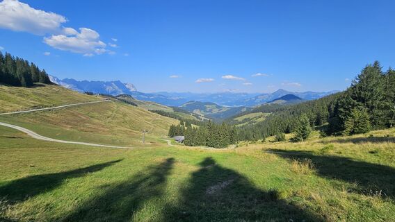 Fotografija s spletne strani Martijn na poti