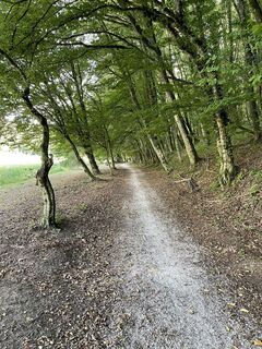 Photo de Peter Laure le long du parcours