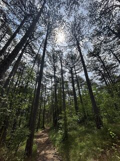 Fotó a RS76 honlapról a túra során