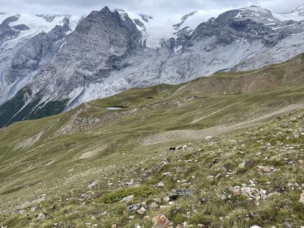 Foto fra Raymond Woertman underveis på turen
