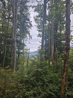 Foto von Markus Backert entlang der Tour