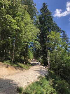 Foto von Tjeerd De Vries entlang der Tour