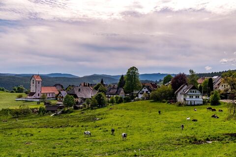 Blick vom Vitenhof auf Saig
